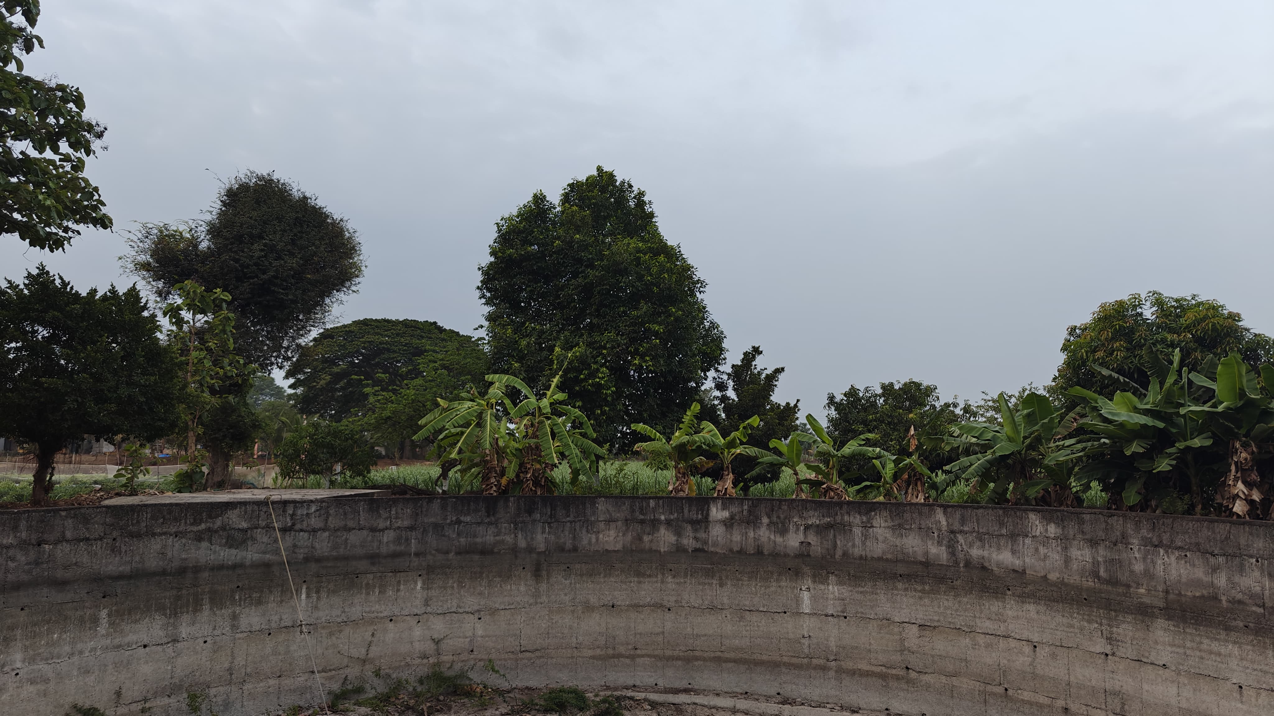 Farm 26